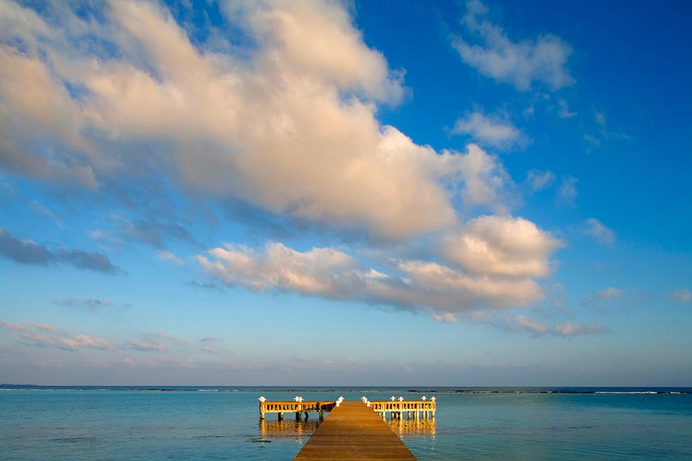 Little Cayman Island art print by Danita Delimont for $57.95 CAD