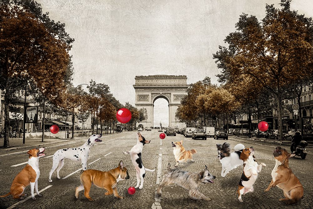 Ave des Champs art print by CAD Design for $57.95 CAD
