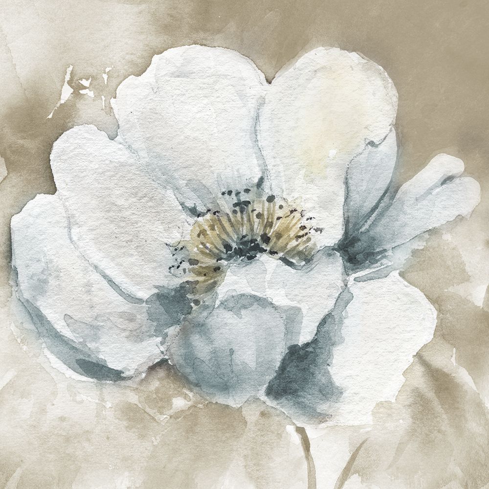White Washed Beauty I art print by Carol Robinson for $57.95 CAD