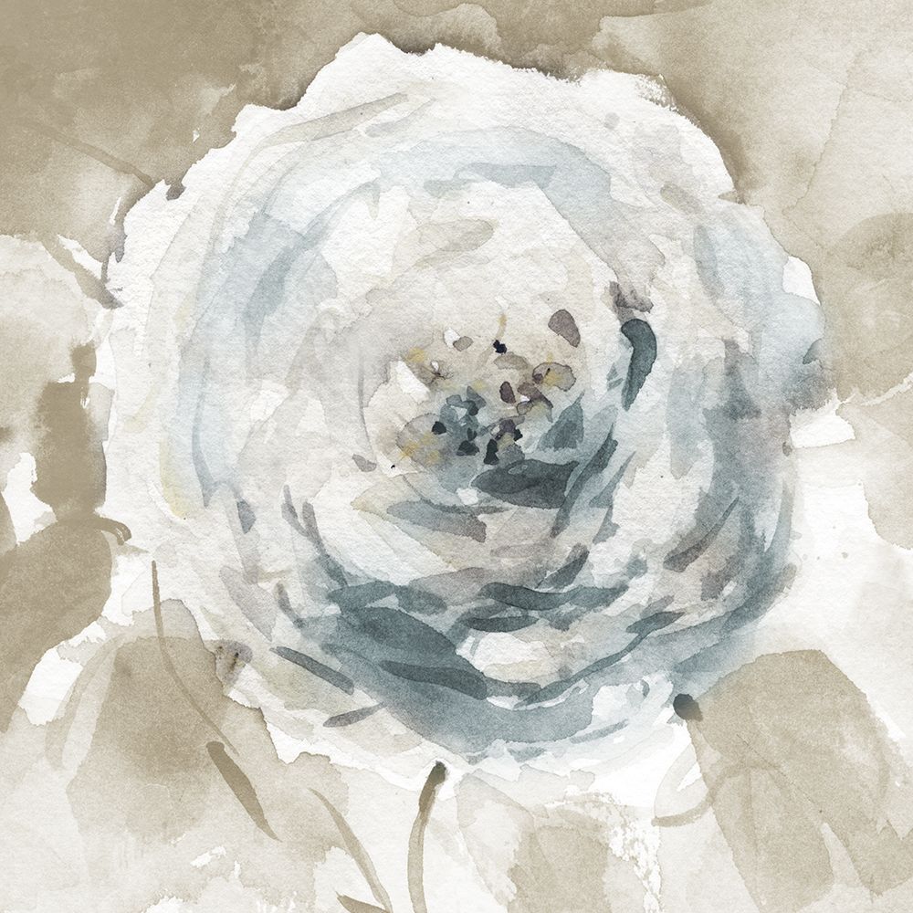 White Washed Beauty II art print by Carol Robinson for $57.95 CAD
