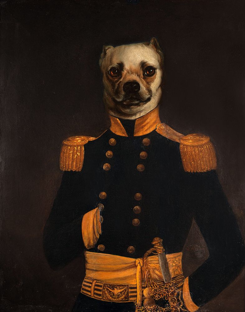 Major General art print by Shaw Stephen for $57.95 CAD