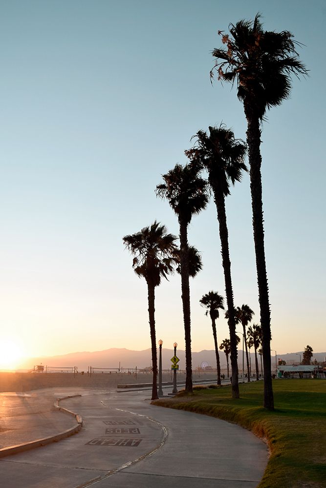 Santa Monica Path art print by Natalie Carpentieri for $57.95 CAD