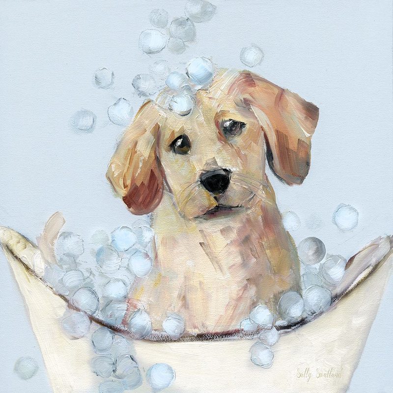 Bubble Paws I art print by Sally Swatland for $57.95 CAD