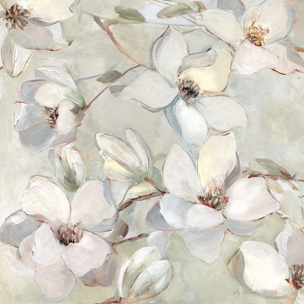Magnolia art print by Sally Swatland for $57.95 CAD