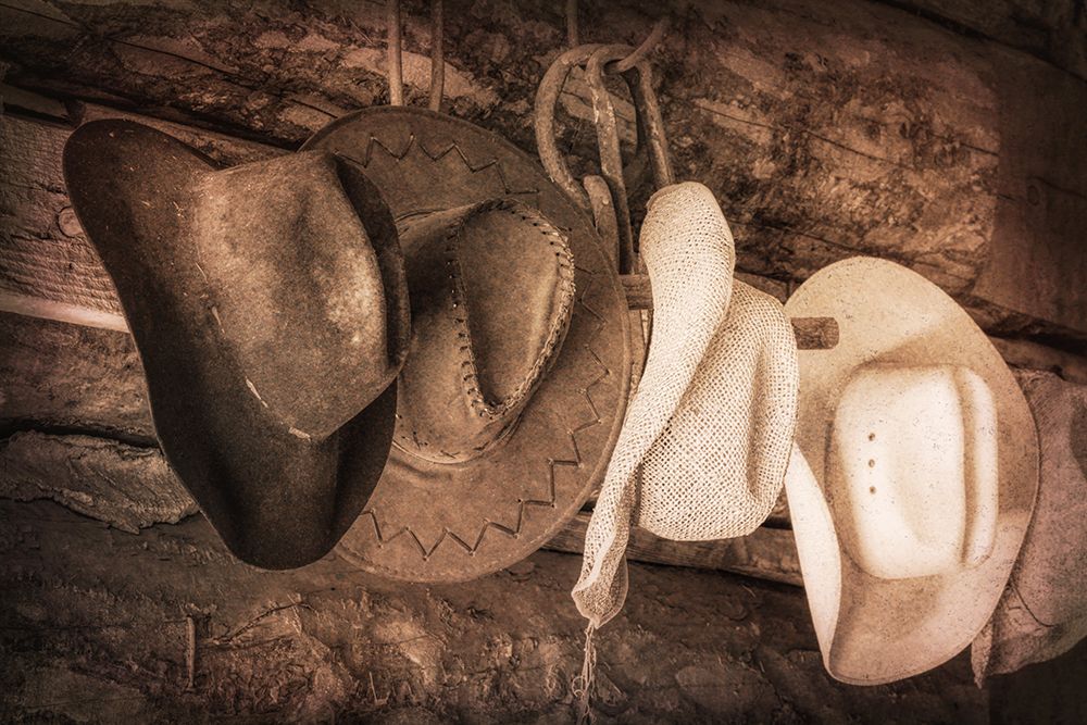 Hat Creek Ranch art print by Danita Delimont for $57.95 CAD