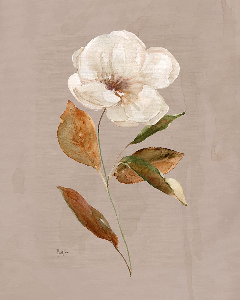 Aged Botanical I art print by Livi Finn for $57.95 CAD