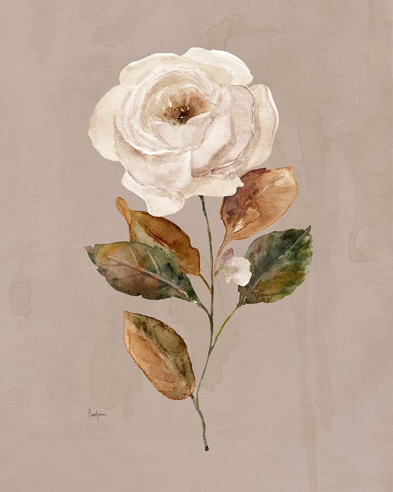 Aged Botanical II art print by Livi Finn for $57.95 CAD