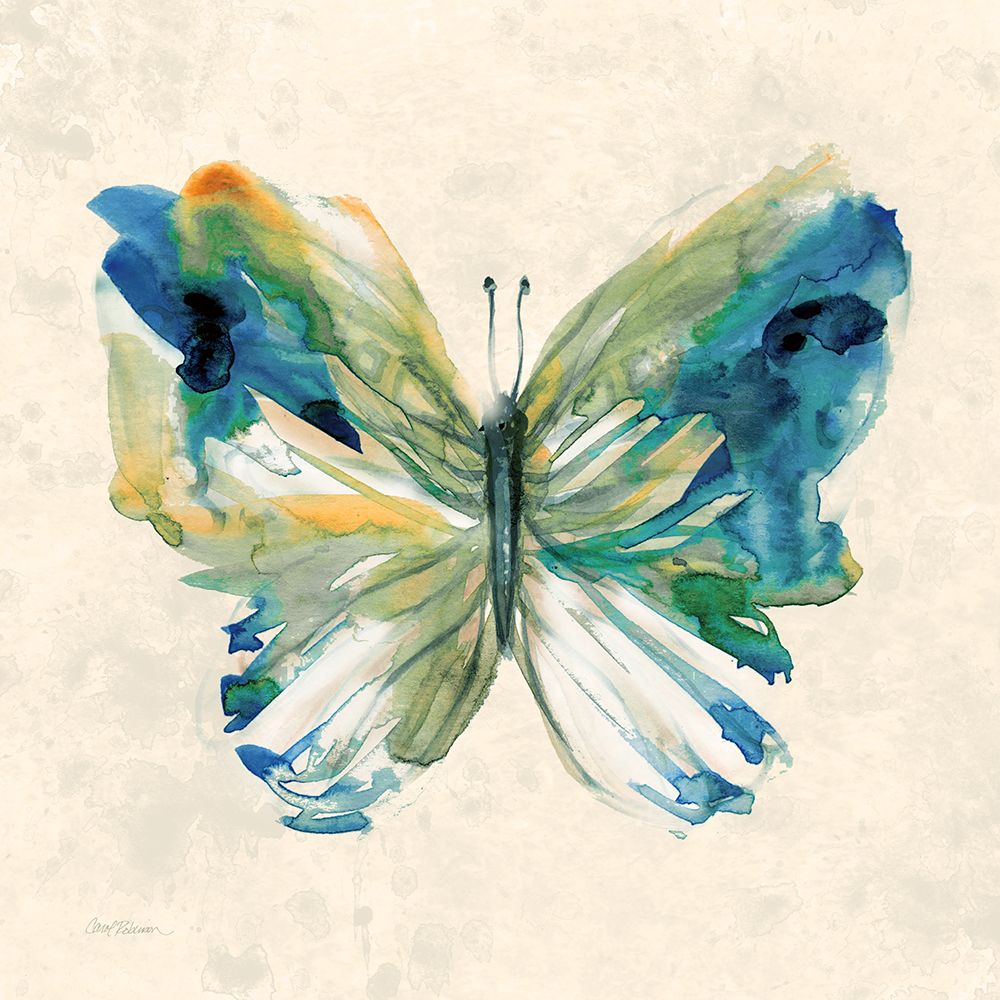 Watercolor Butterfly I art print by Carol Robinson for $57.95 CAD