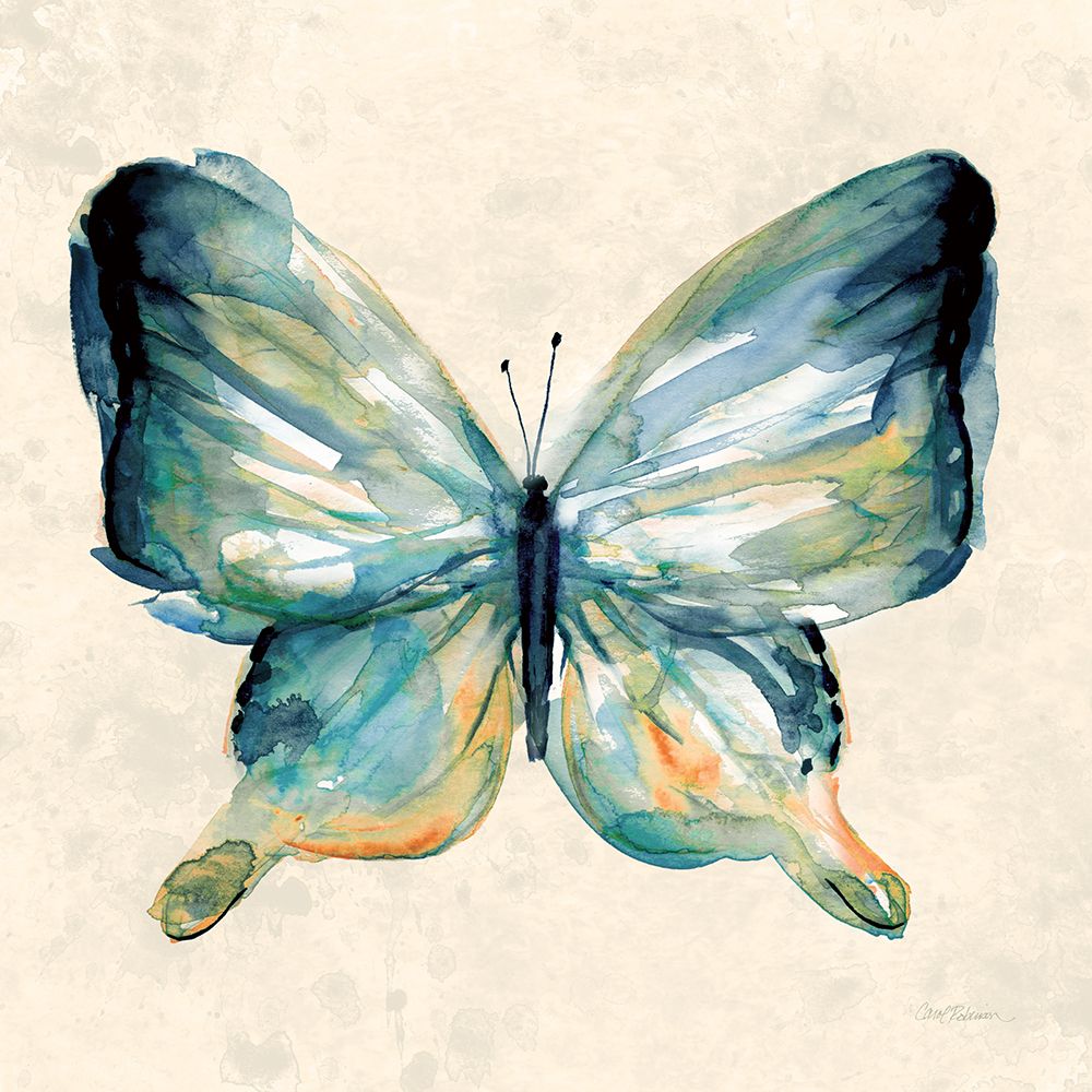 Watercolor Butterfly II art print by Carol Robinson for $57.95 CAD