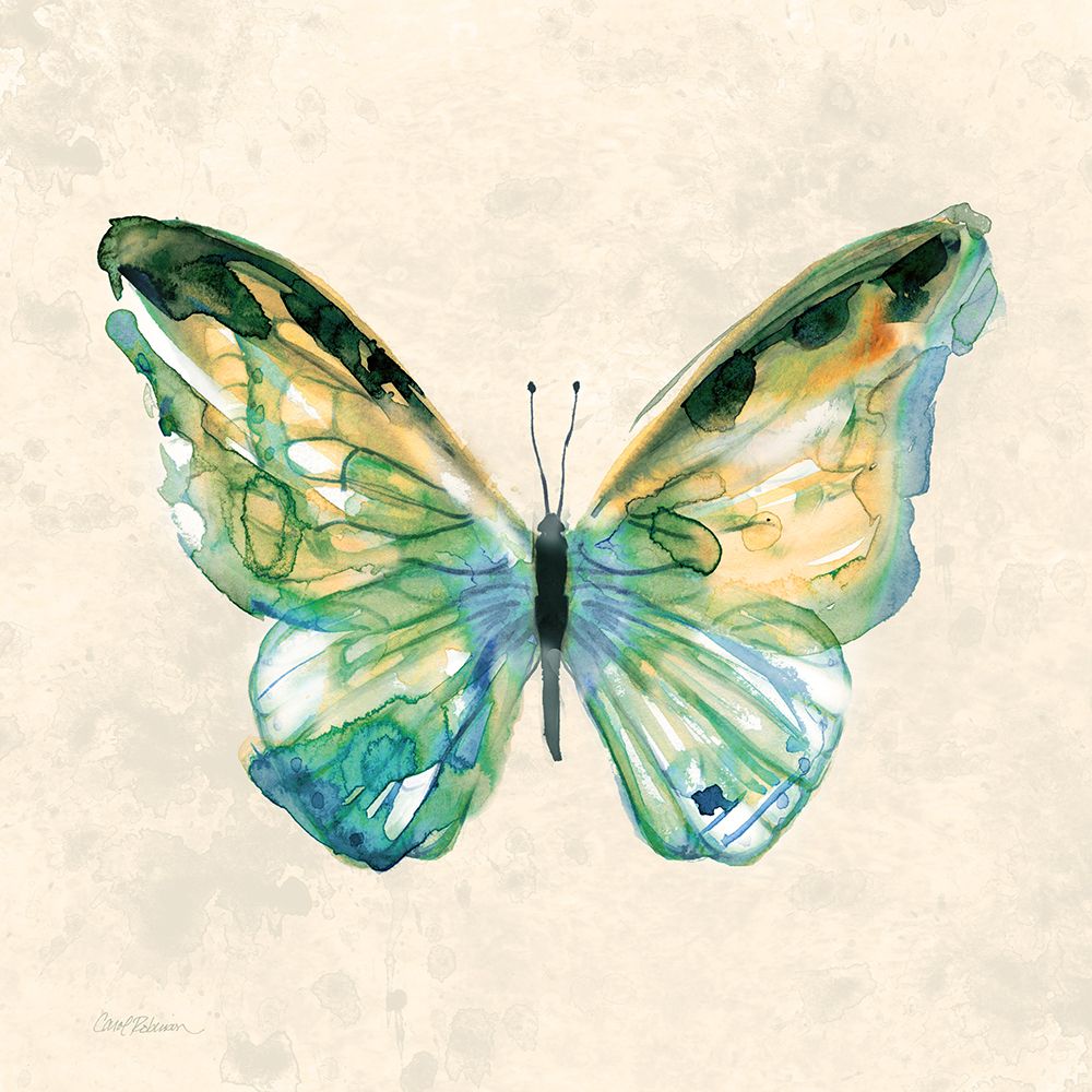 Watercolor Butterfly III art print by Carol Robinson for $57.95 CAD