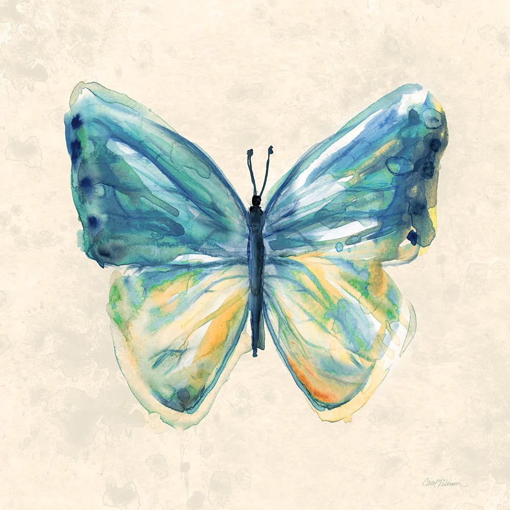 Watercolor Butterfly IV art print by Carol Robinson for $57.95 CAD