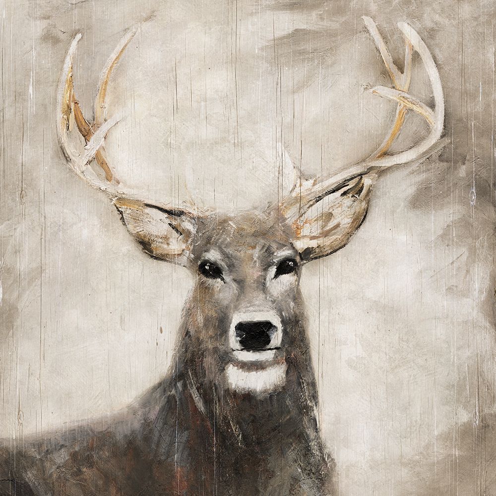 Soft Buck art print by Sally Swatland for $57.95 CAD