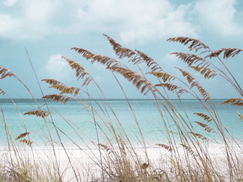 Solitude Beach art print by Danita Delimont for $57.95 CAD