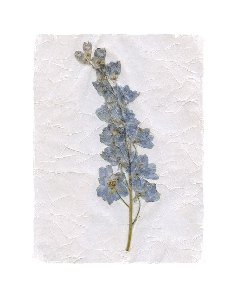 Decoupage Floral I art print by Carol Robinson for $57.95 CAD