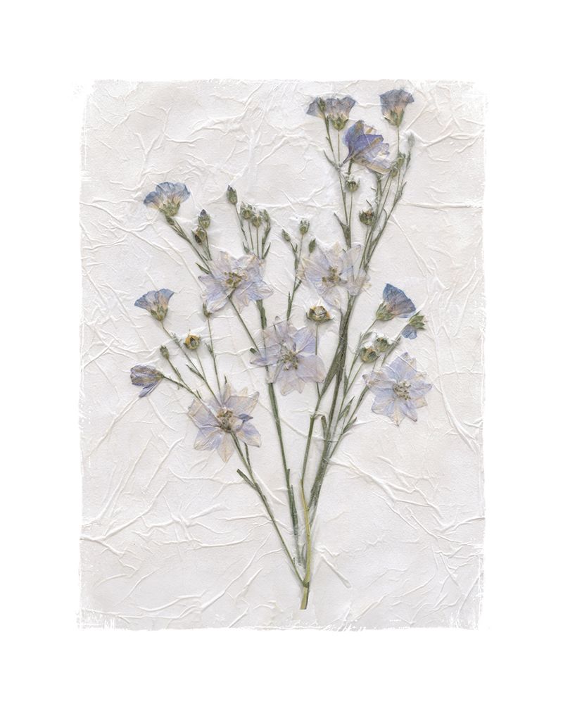 Decoupage Floral II art print by Carol Robinson for $57.95 CAD
