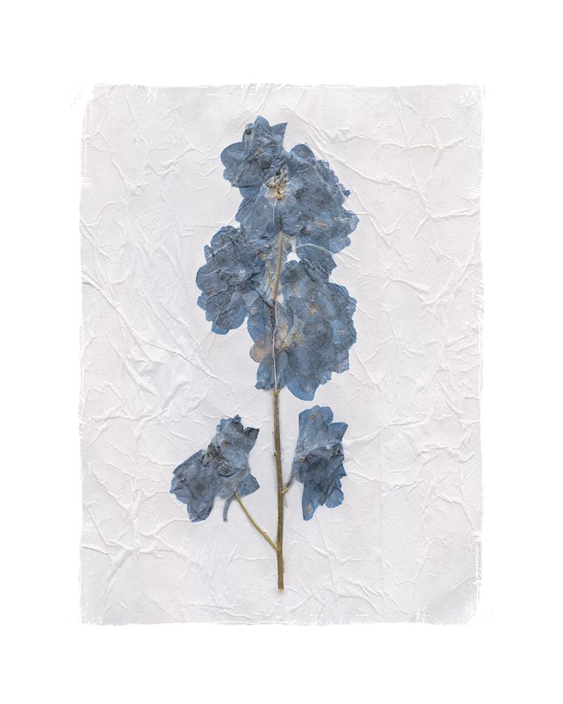 Decoupage Floral III art print by Carol Robinson for $57.95 CAD