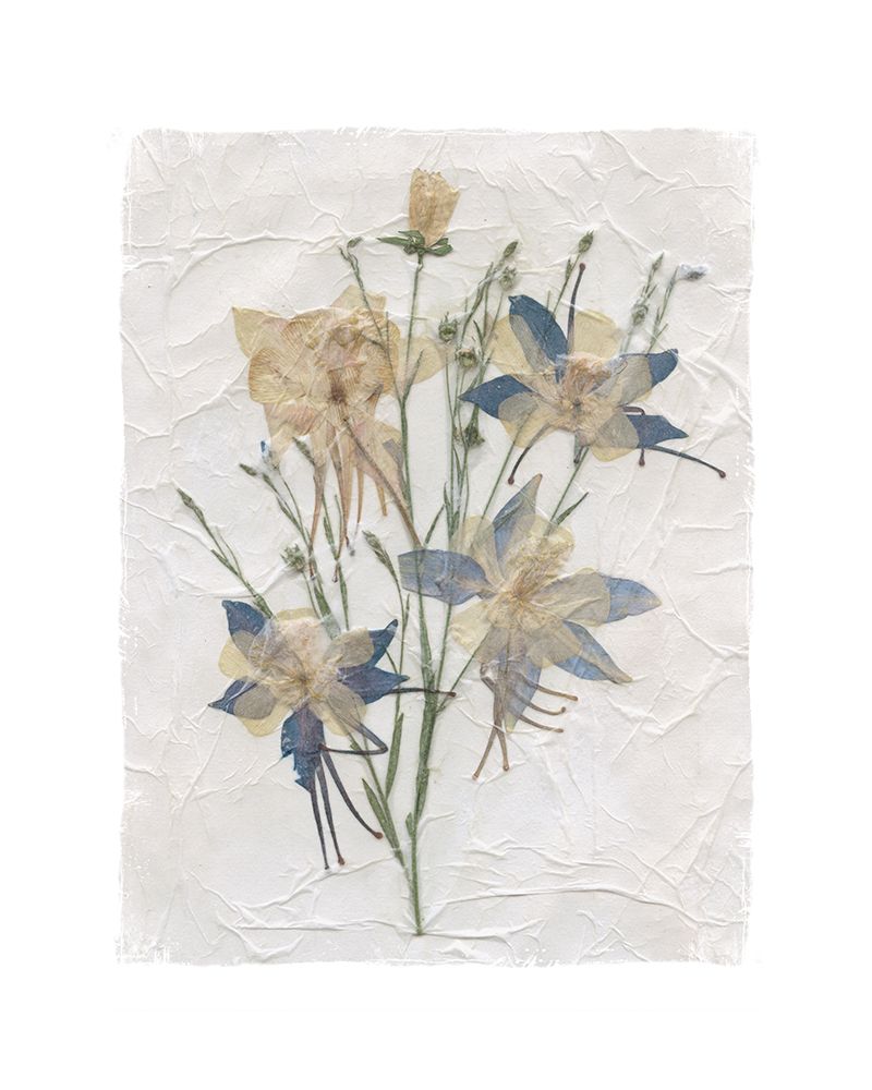 Decoupage Floral IV art print by Carol Robinson for $57.95 CAD