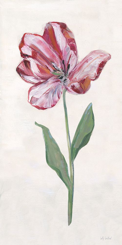 Painted Tulips II art print by Sally Swatland for $57.95 CAD