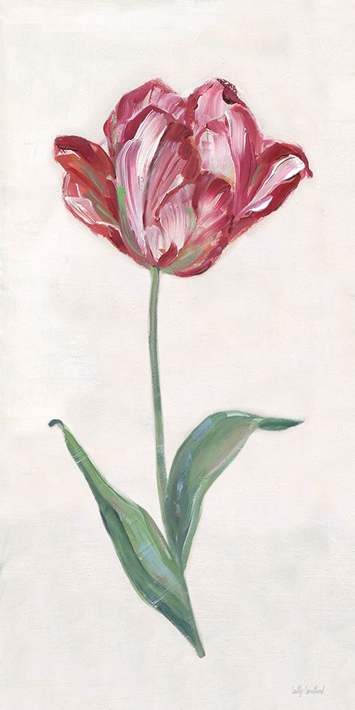 Painted Tulips III art print by Sally Swatland for $57.95 CAD