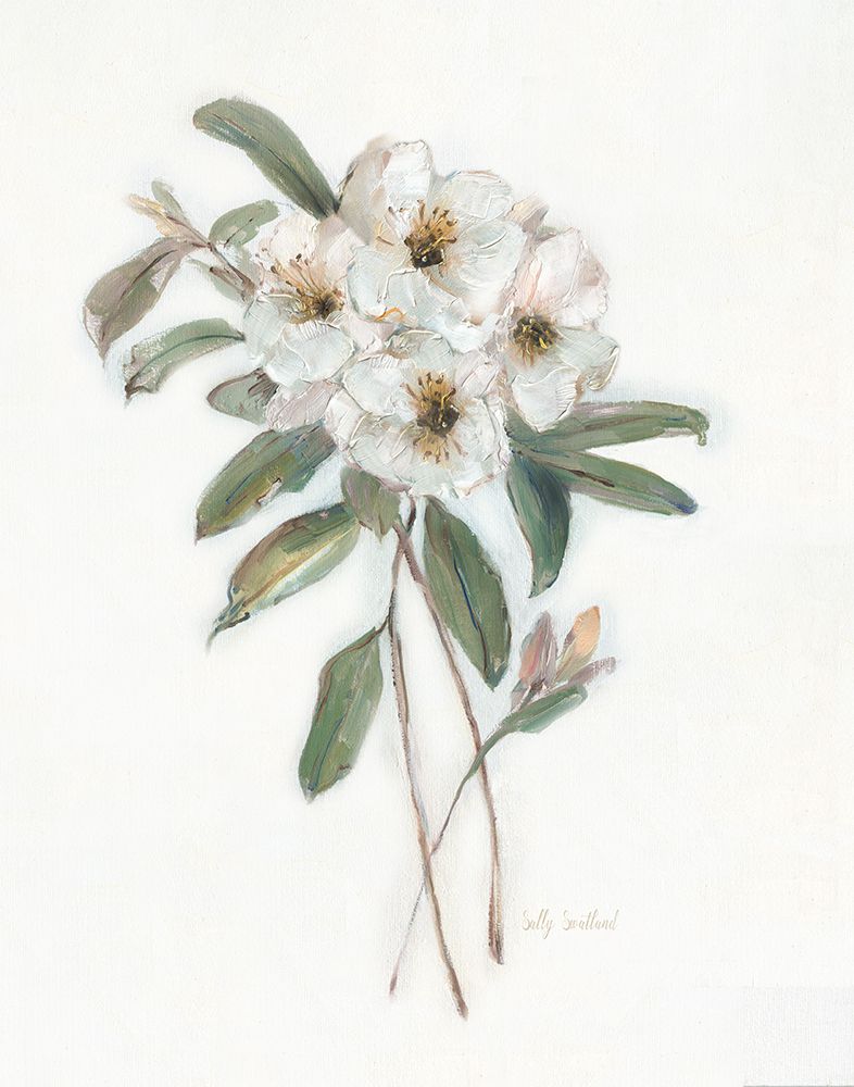 Mountain Laurel I art print by Sally Swatland for $57.95 CAD