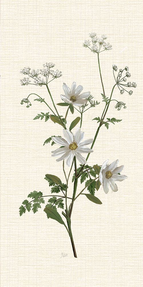 Petite and Wild I art print by Nan for $57.95 CAD