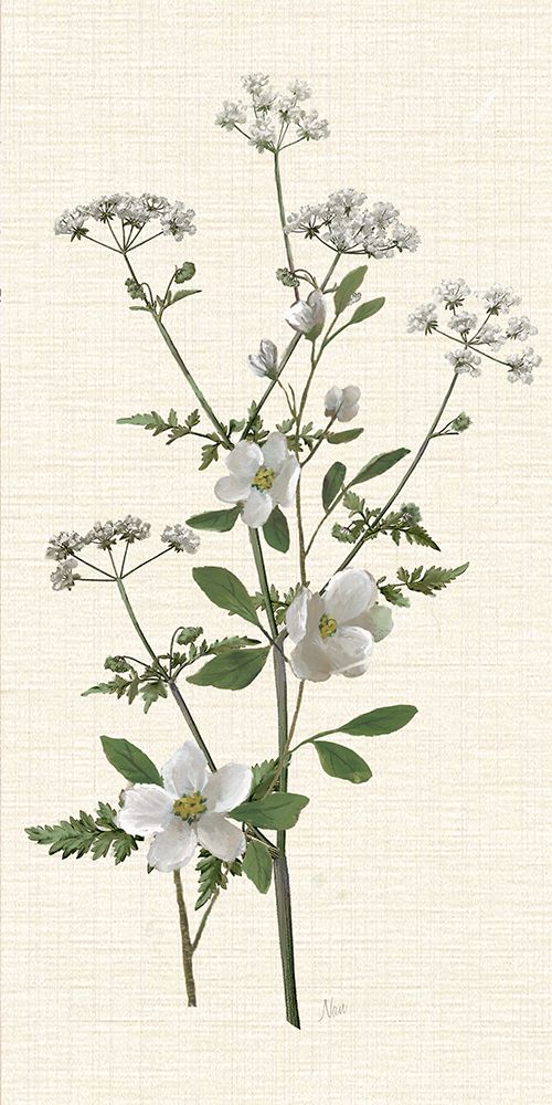 Petite and Wild II art print by Nan for $57.95 CAD