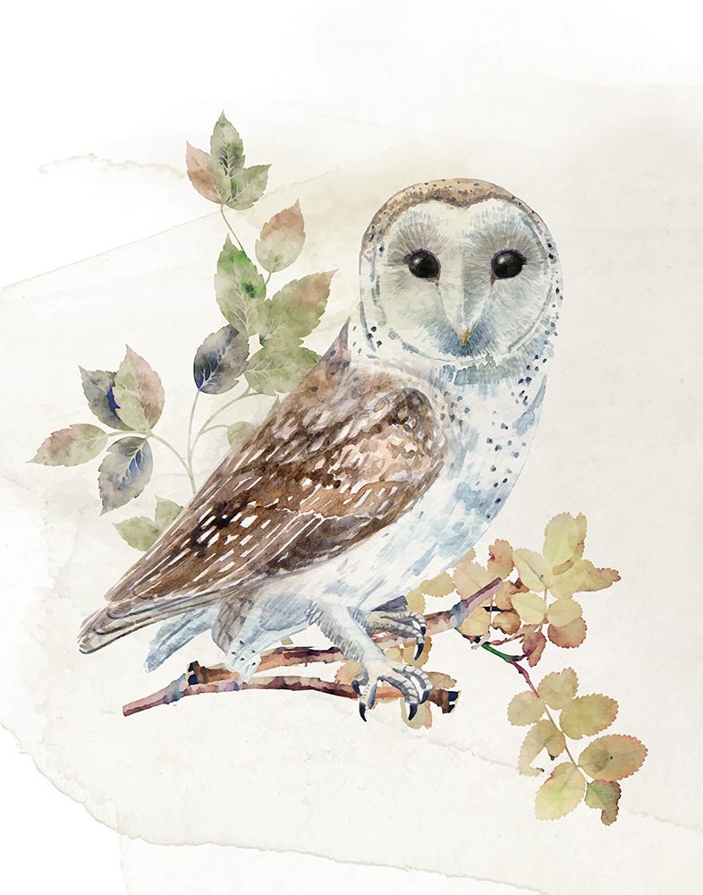 Watercolor Owl I art print by CAD Design for $57.95 CAD
