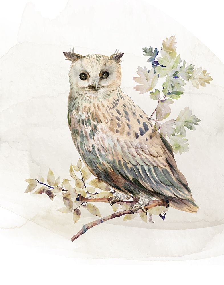Watercolor Owl II art print by CAD Design for $57.95 CAD