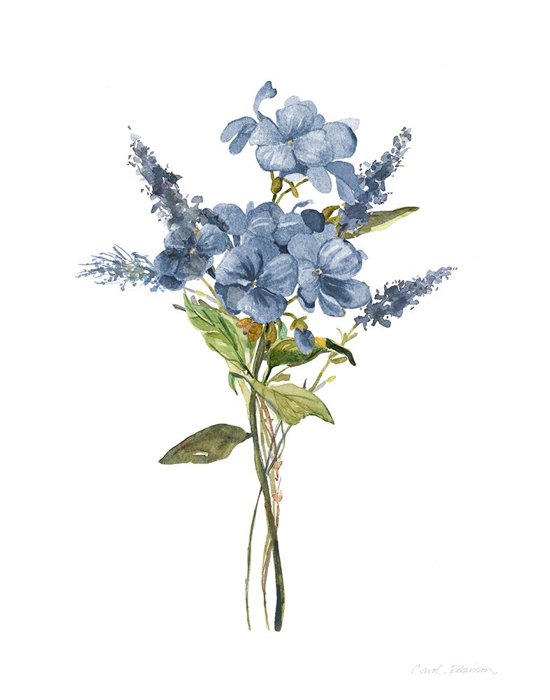 Afternoon Blues II art print by Carol Robinson for $57.95 CAD
