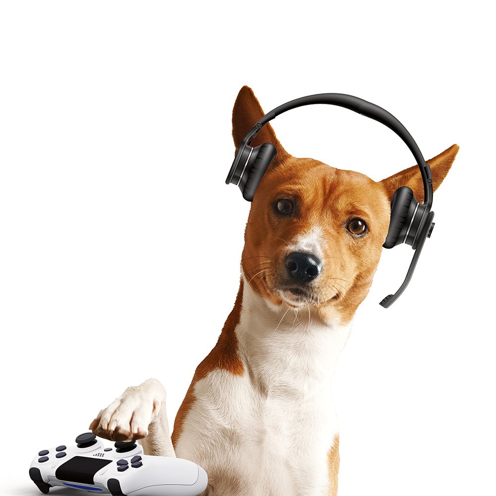 Gaming Dog art print by CAD Design for $57.95 CAD