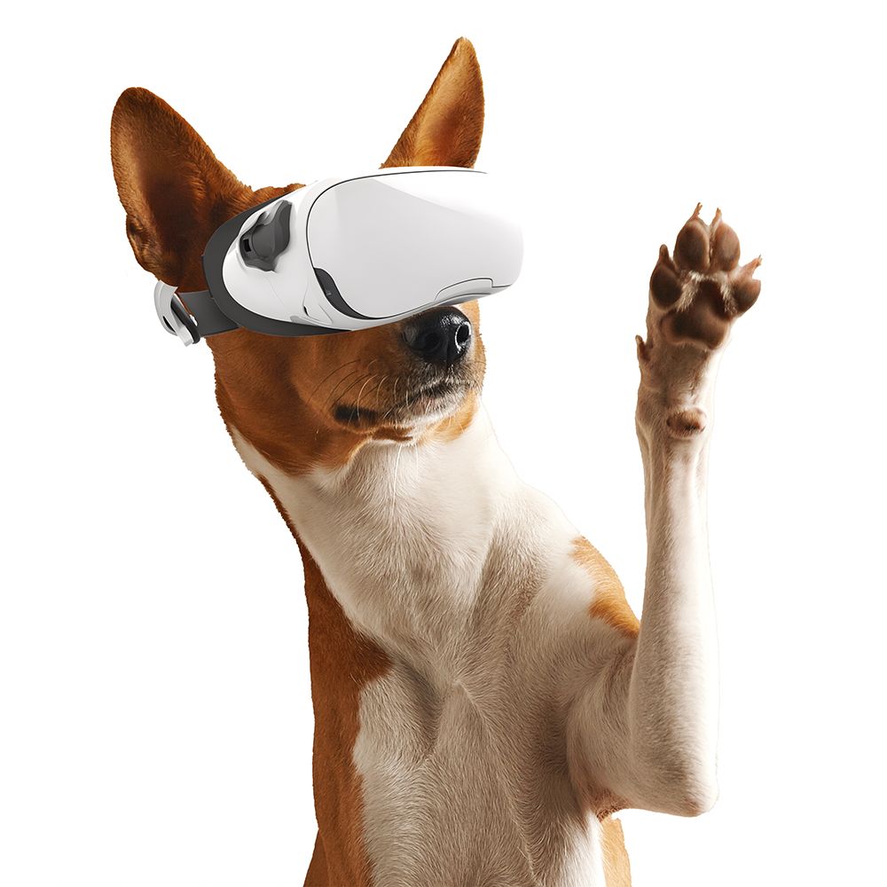 VR Headset Dog art print by CAD Design for $57.95 CAD