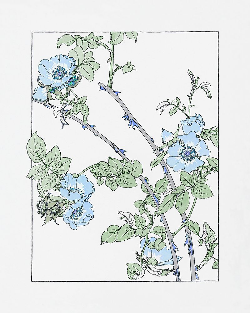 Vintage Summer Botanical II art print by CAD Designs for $57.95 CAD