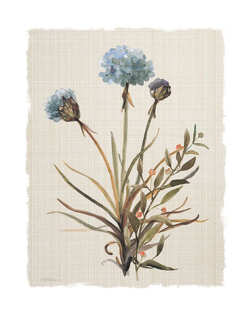 Honeybloom Botanical I art print by Carol Robinson for $57.95 CAD
