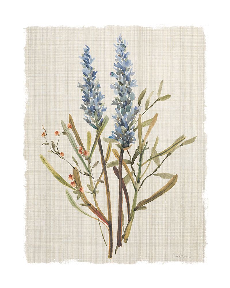 Honeybloom Botanical II art print by Carol Robinson for $57.95 CAD