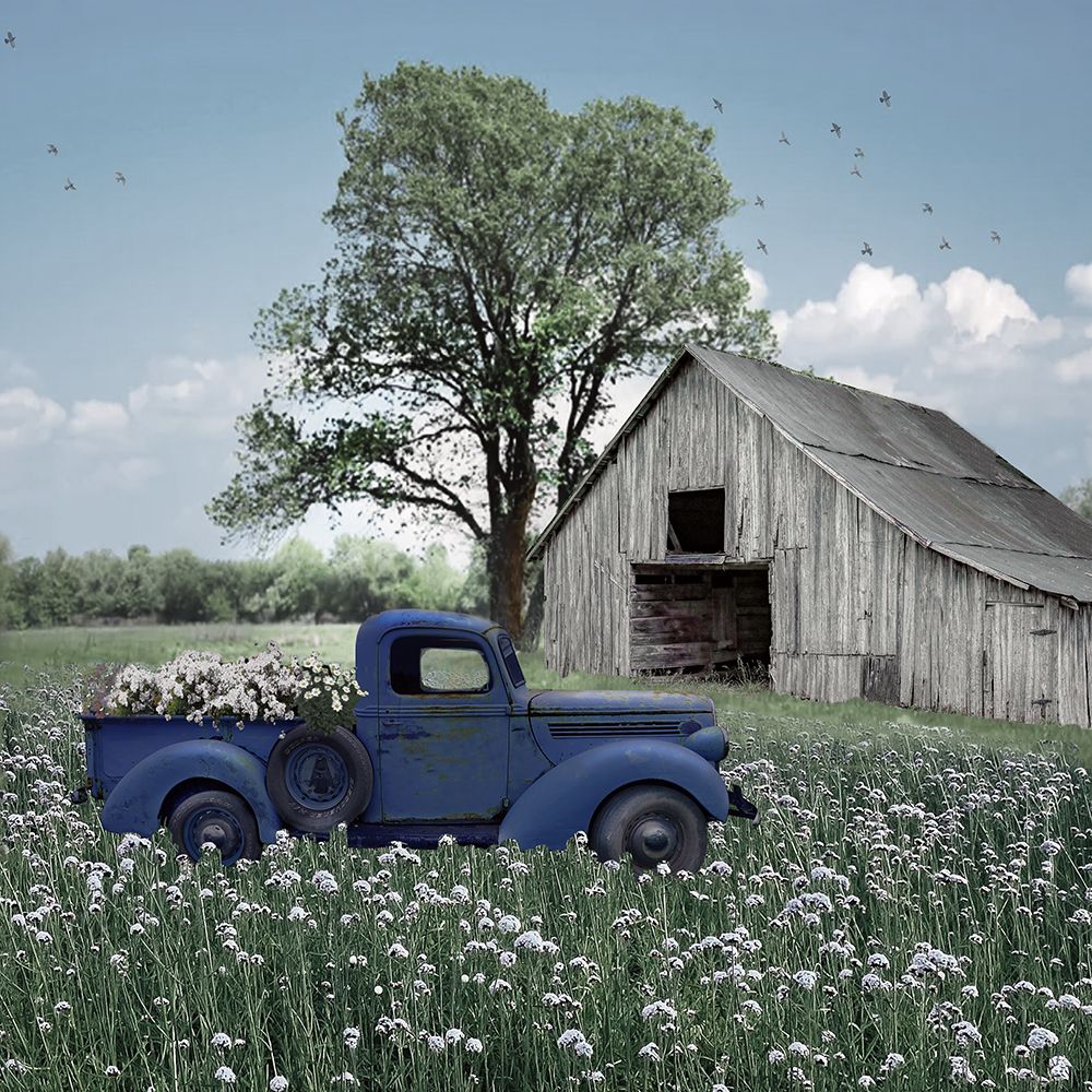 Blue Meadow Farm art print by Nan for $57.95 CAD