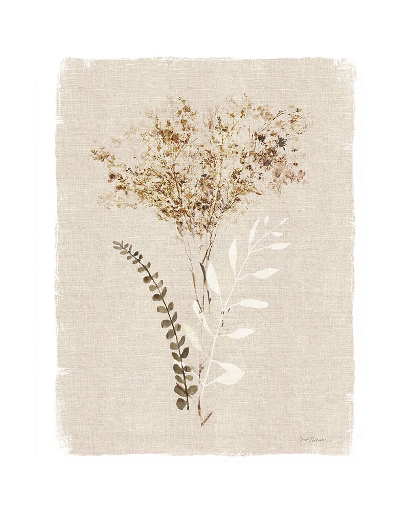 Dried Foliage II art print by Carol Robinson for $57.95 CAD