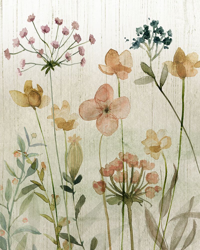 Wildflower Sketchbook II art print by Livi Finn for $57.95 CAD
