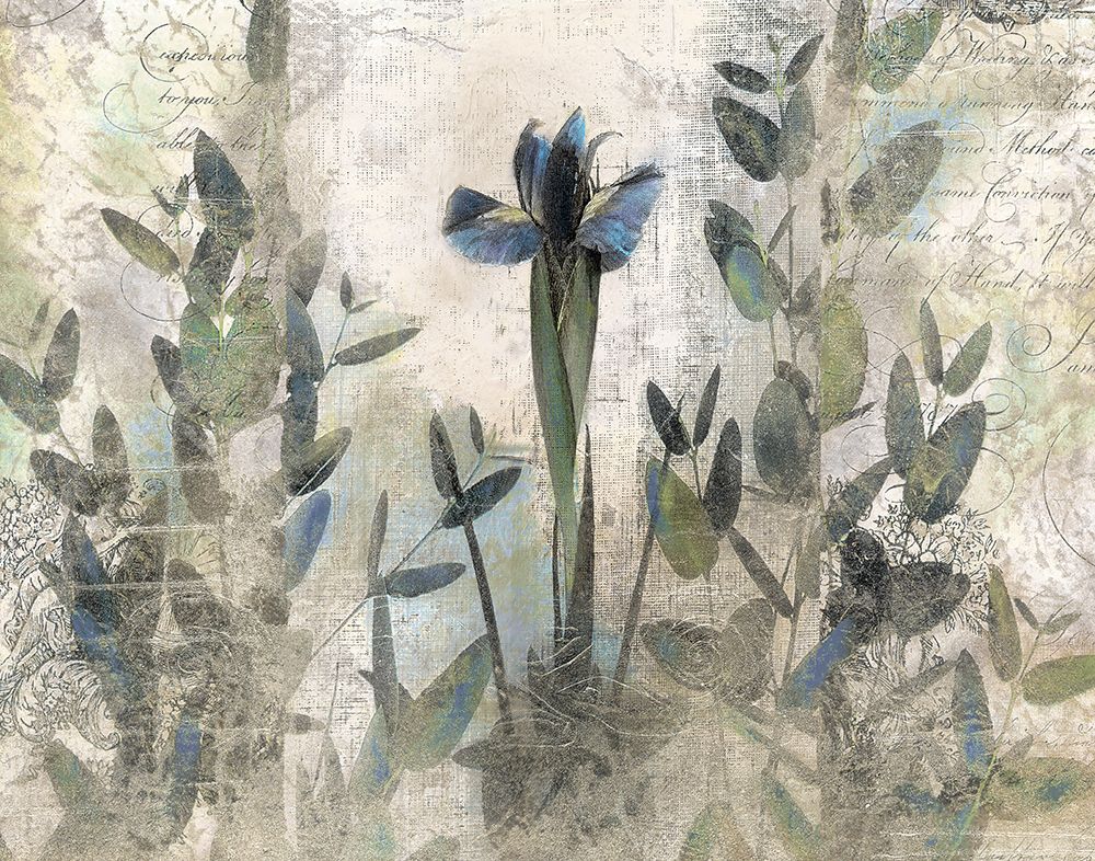 Blue Iris art print by John Butler for $57.95 CAD