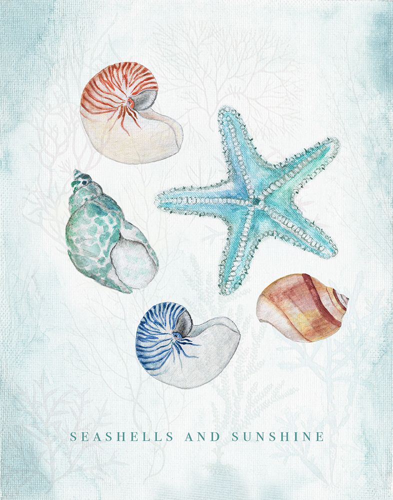 Seashells and Sunshine art print by Janet Tava for $57.95 CAD
