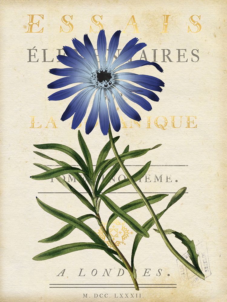 Blue Sunflower art print by Susan Arnot for $57.95 CAD