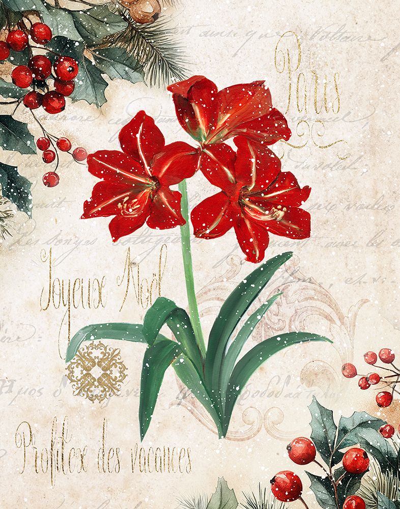 Joyeux Noel Amaryllis art print by Sally Swatland for $57.95 CAD
