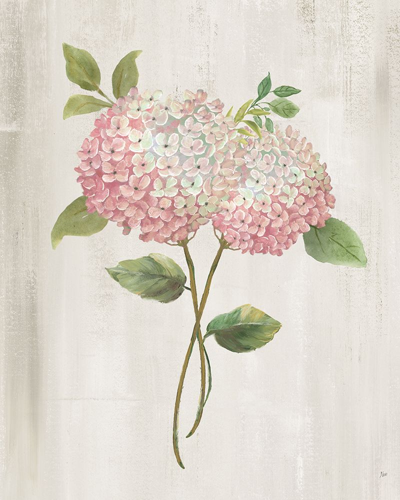 Pink Hydrangea I art print by Nan for $57.95 CAD