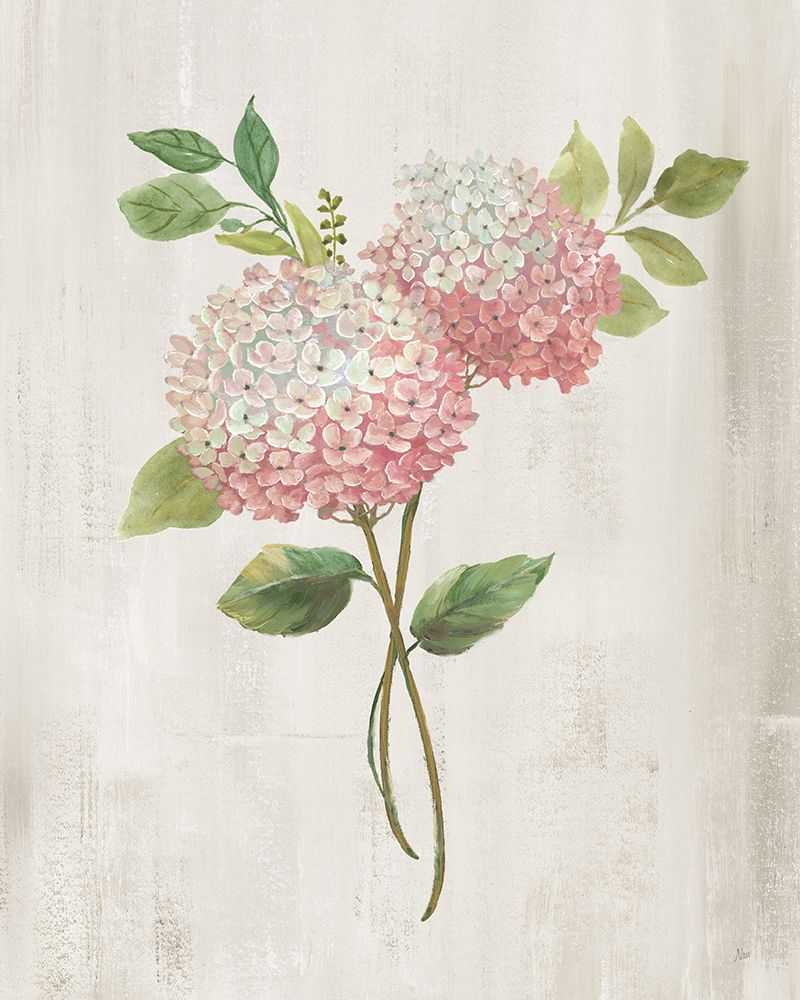 Pink Hydrangea II art print by Nan for $57.95 CAD