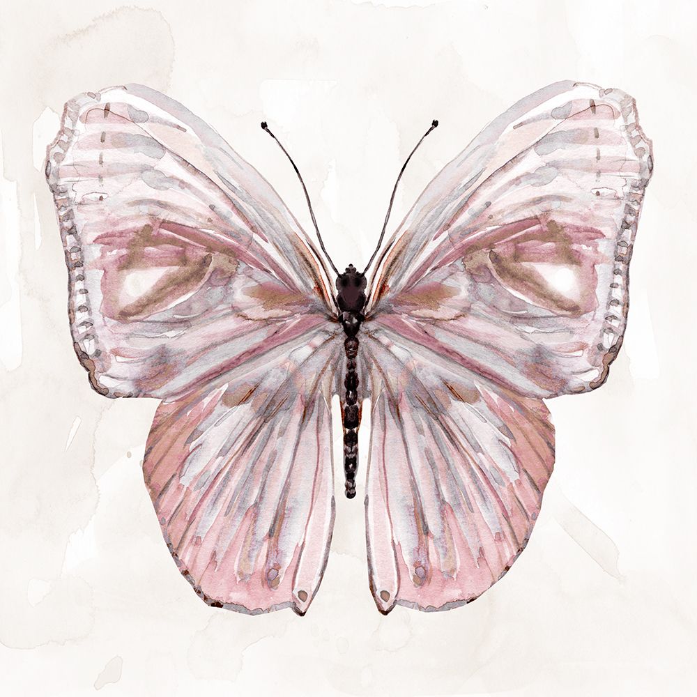 Blushing Wings II art print by Carol Robinson for $57.95 CAD