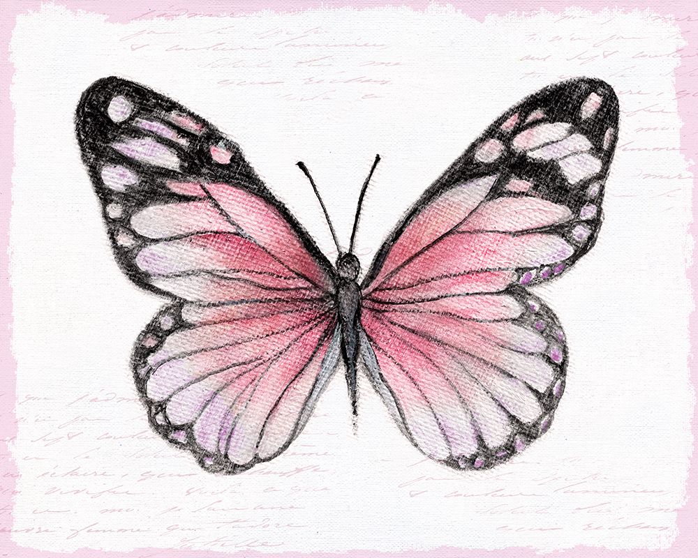 Vintage Pink Flutter II art print by Janet Tava for $57.95 CAD