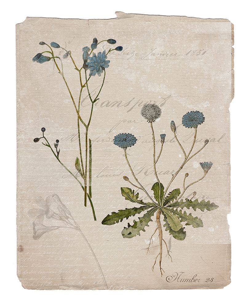 Botanical Page 23 art print by Livi Finn for $57.95 CAD