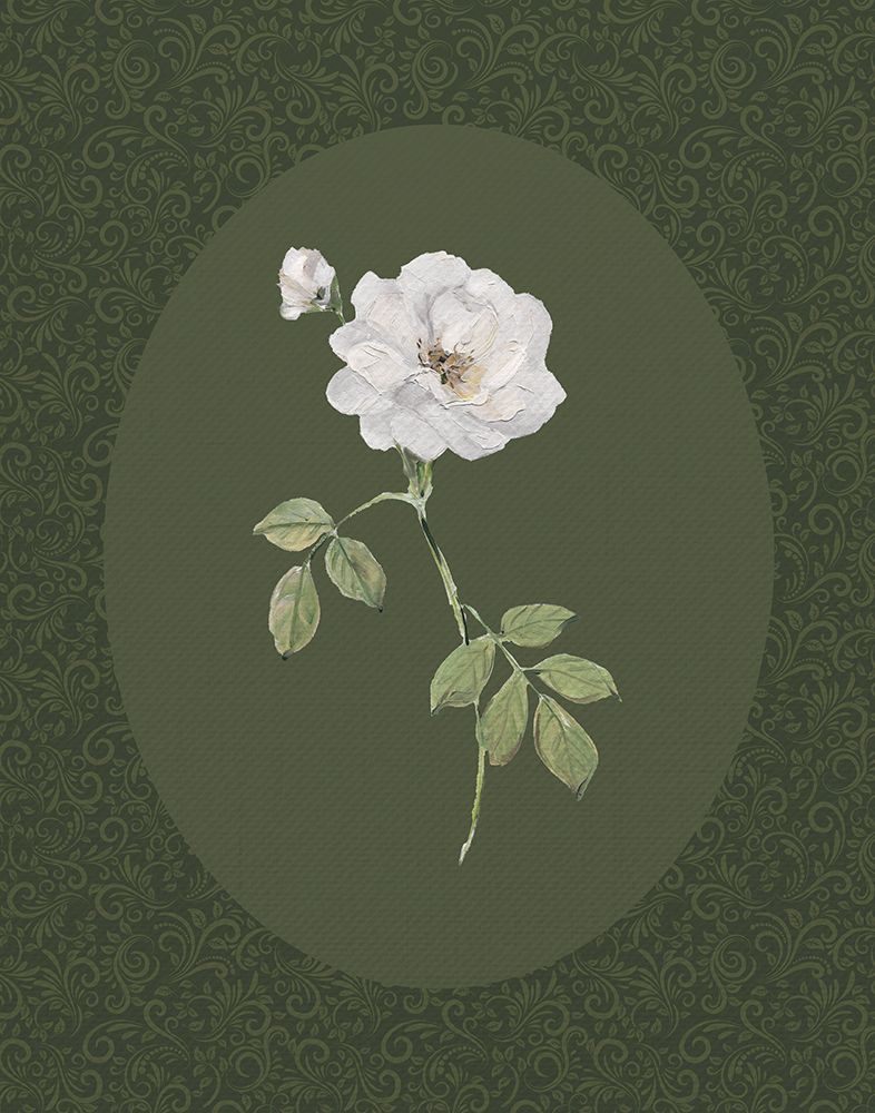 Rose And Lace I art print by Sally Swatland for $57.95 CAD