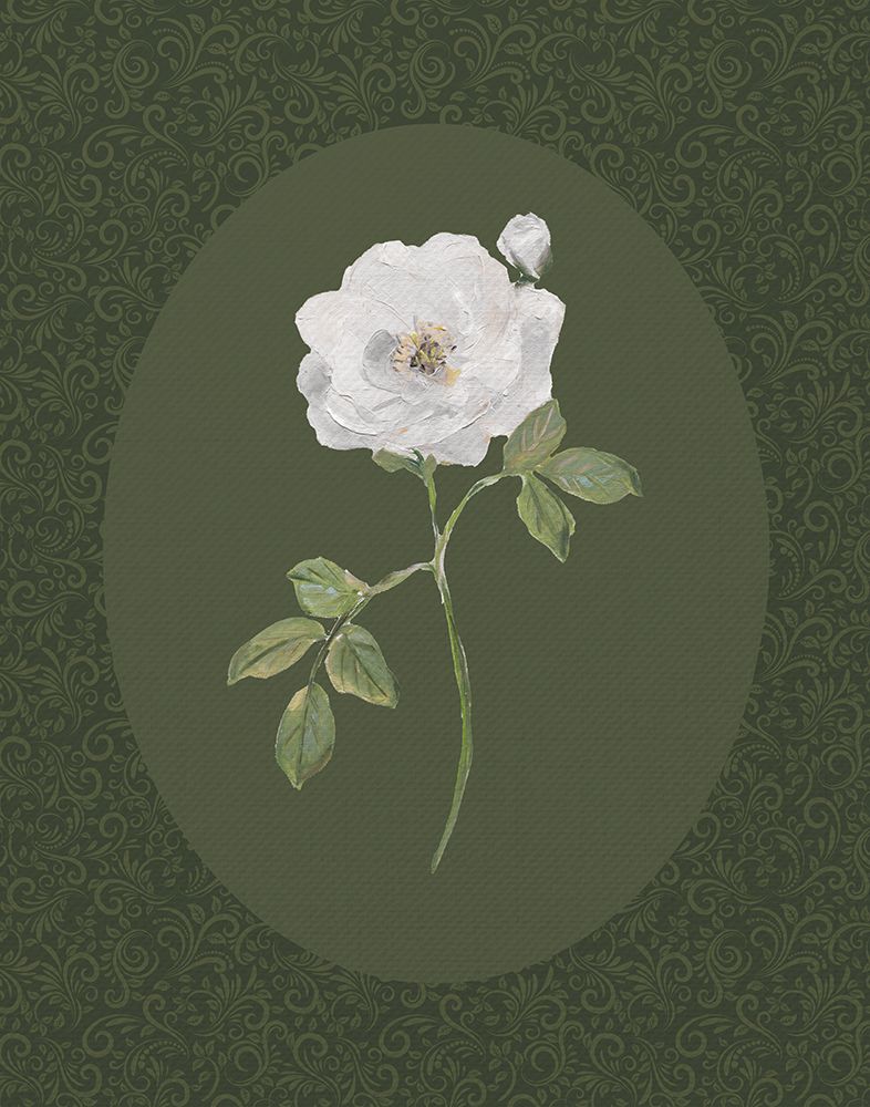 Rose And Lace II art print by Sally Swatland for $57.95 CAD
