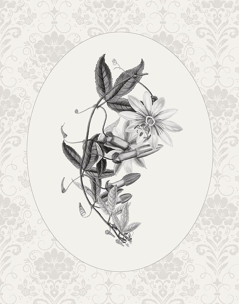Botanical And Lace I art print by CAD Designs for $57.95 CAD