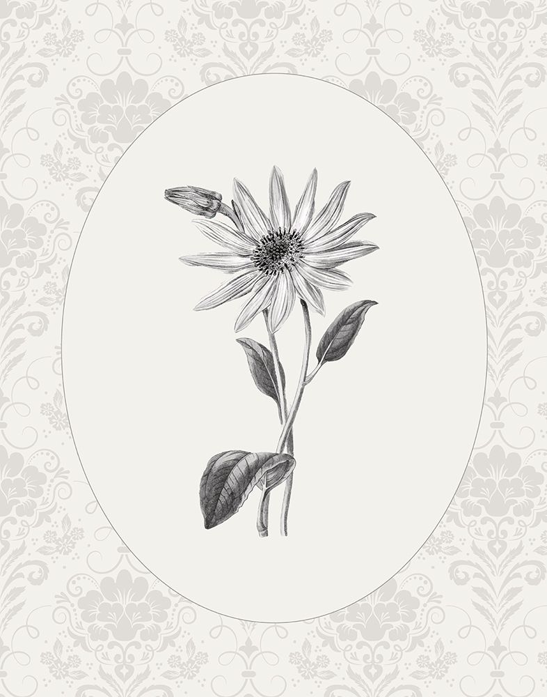 Botanical And Lace II art print by CAD Designs for $57.95 CAD